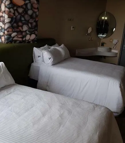 Hotel Quinto Elemento Mexico City